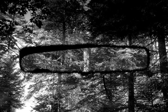 black and white, photo, rearview mirror, forest, 