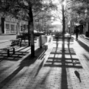light, shadow, Toronto, 1984,